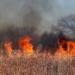 Residents Urged to Take Precautions as Wildfire Smoke Causes Poor Air Quality Conditions