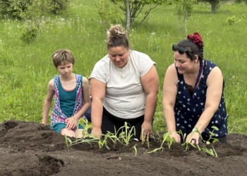 Bridgewood PS Students Plant Seeds of Indigenous Partnerships