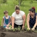 Bridgewood PS Students Plant Seeds of Indigenous Partnerships