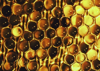 yellow and black round decor