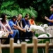 people sitting on wooden fence near white swan during daytime
