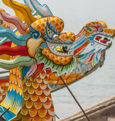 Hold the Boat! The Cornwall Dragon Boat Club is Here.