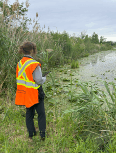 Screenshot 2025-07-15 092518