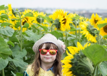 girl wearing red framed sunglasses and white hat surrounded by yellow sunflowers during daytime