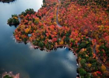 Ontario Stays Ahead in Regulating Online Gambling Platforms