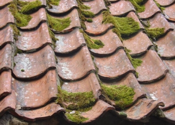 Roof Cleaning: Importance, Key Difficulties and Useful Tips