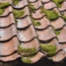 Roof Cleaning: Importance, Key Difficulties and Useful Tips