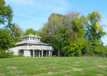 Great Bird Watch at Cooper Marsh