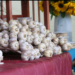 11th Annual Eastern Ontario Garlic Festival happening tomorrow, Saturday September 20th – 11 am to 5 pm in Lamoureux Park, Cornwall