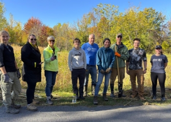 Phragmites Removal at Rotary Creek