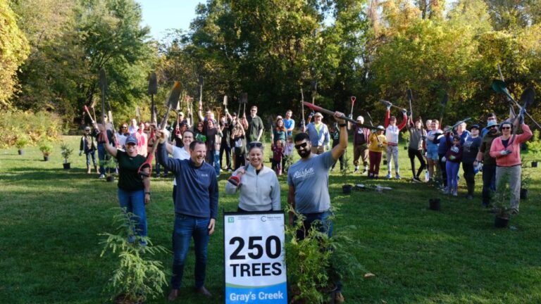 Media Release_TD Tree Days at RRCA Conservation Area