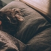 woman sleeping on bed under blankets