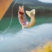 yellow and white fish on water