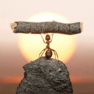 Screenshot 2026-03-22 002054