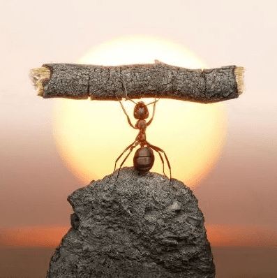 Screenshot 2026-03-22 002054