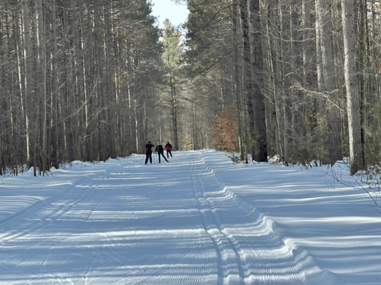 Screenshot 2026-04-20 162532