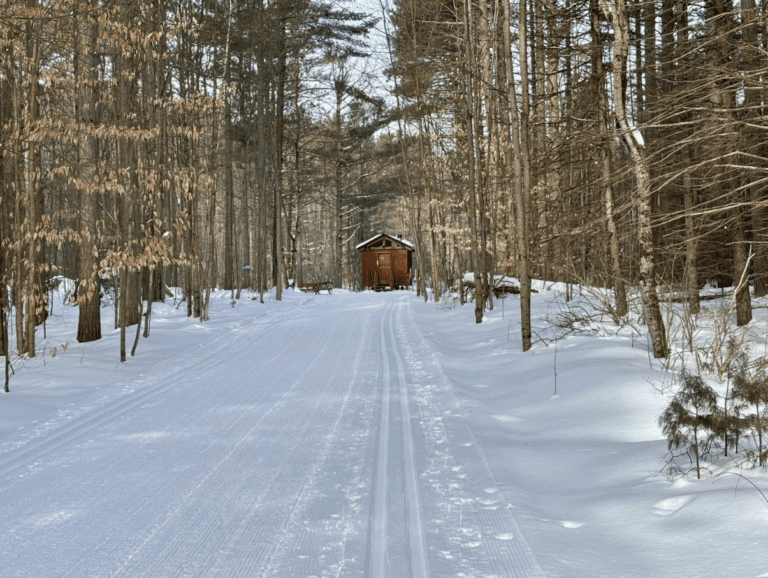 Screenshot 2026-04-20 162551