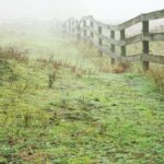 brown wooden fence on green grass field