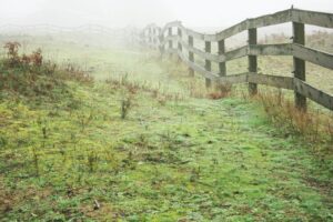 brown wooden fence on green grass field
