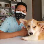 a man wearing a face mask sitting next to a dog