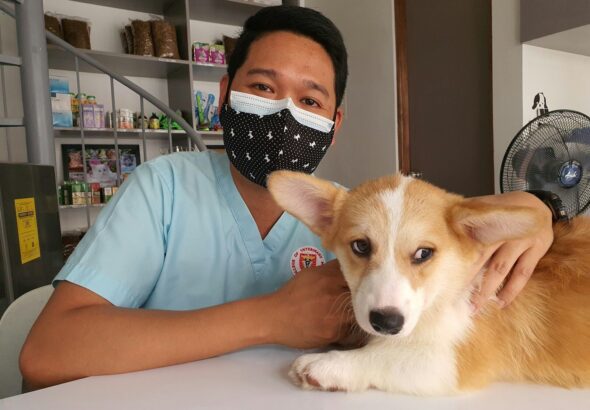 a man wearing a face mask sitting next to a dog