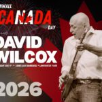 David Wilcox - 4