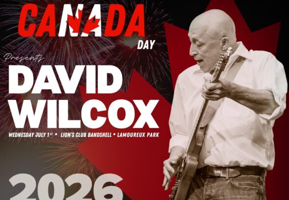David Wilcox - 4