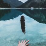 person attempting to grab feather floating beside water