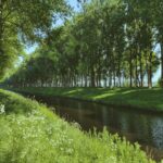 green grass field near river