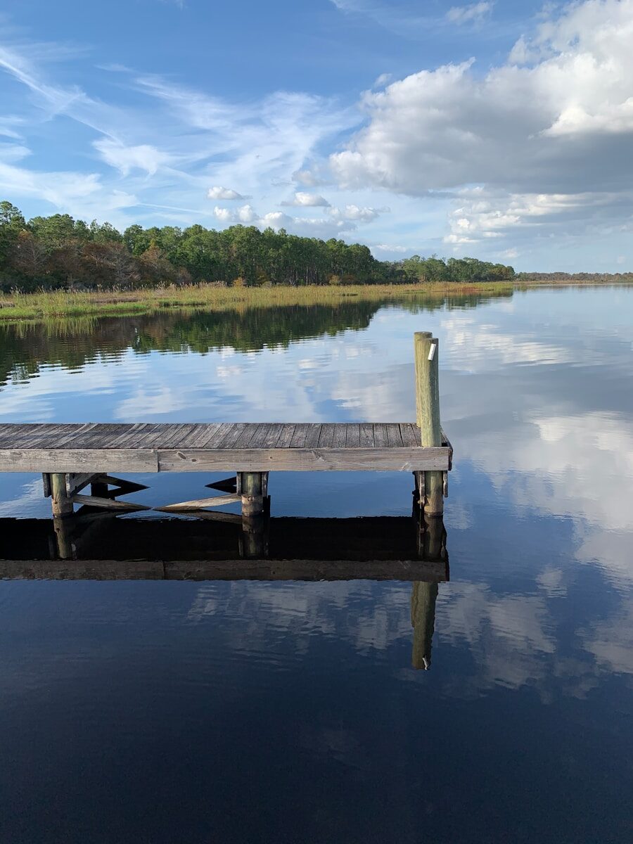 wooden dock and calm body of water
