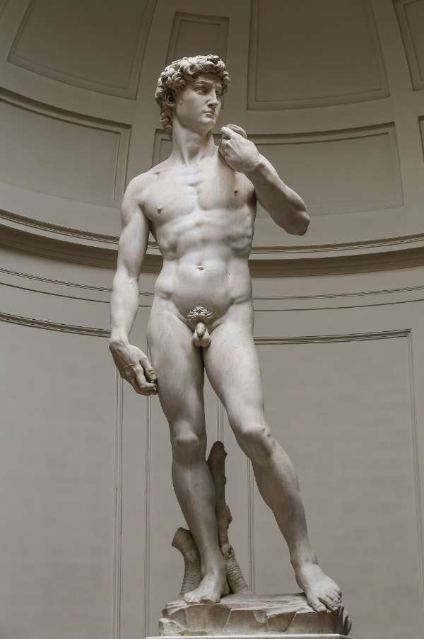 Michelangelo, David, 1501-4, Carrara marble, Galleria dell ’Accademia, Florence