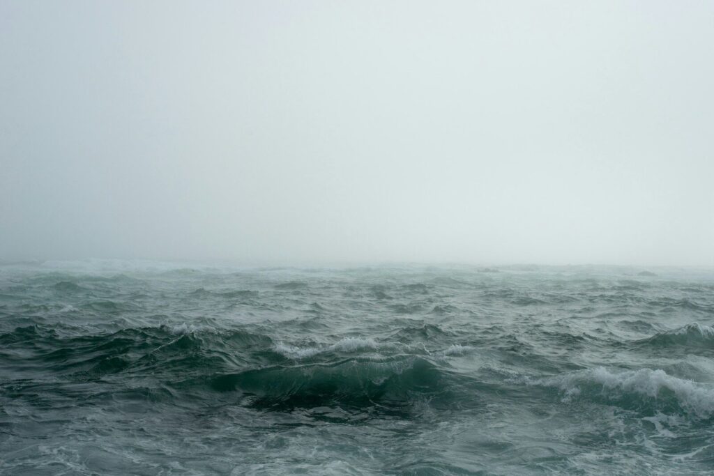 body of water surrounded by fog