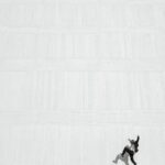 a person jumping in the air on a skateboard