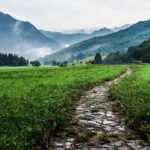 gray and white pathway between green plants on vast valley