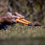 Close-up of a gardener's hands trimming bushes with orange pruning shears outdoors.
