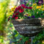 a bird bath with flowers in the background