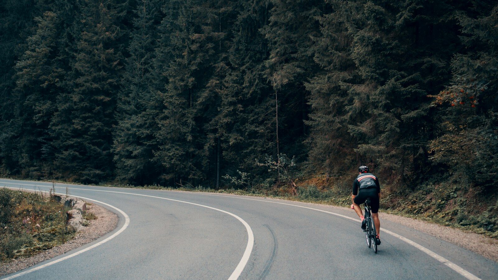 A cyclist riding a road bike on a winding asphalt road through a forest