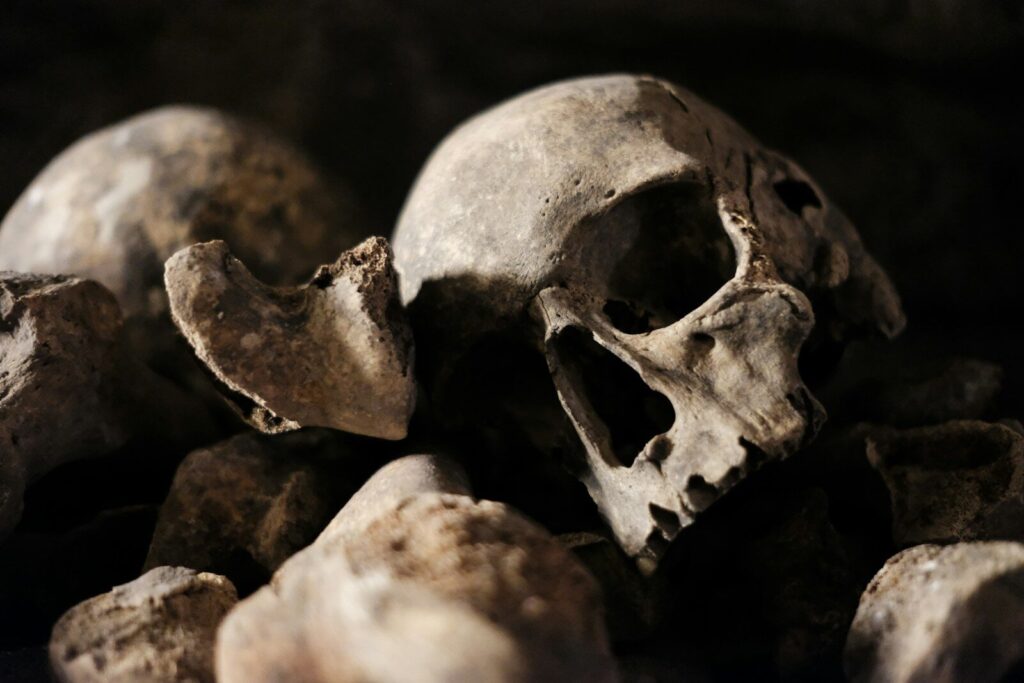 white and black skull on black surface
