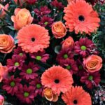pink and yellow flowers with green leaves