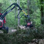 A logging machine operates in a dense forest