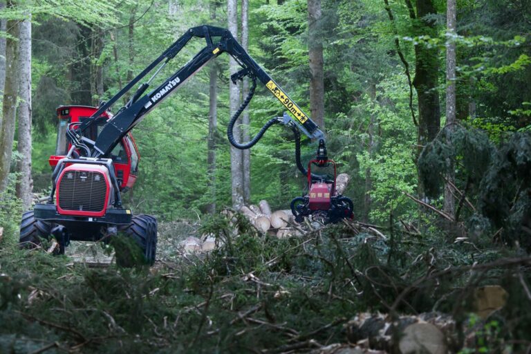A logging machine operates in a dense forest