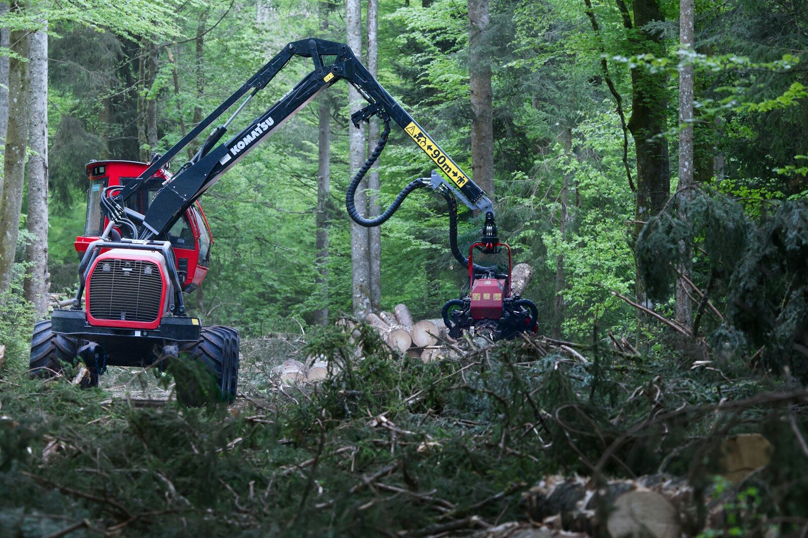 A logging machine operates in a dense forest